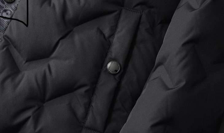Picture of Louis Vuitton Down Jackets _SKULVM-3XL25wr9937651
